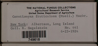 Image Associated With the Occurence